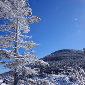 ���i�C���[�W